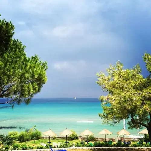 Beach & Waterfront