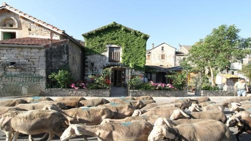 La Cardabelle