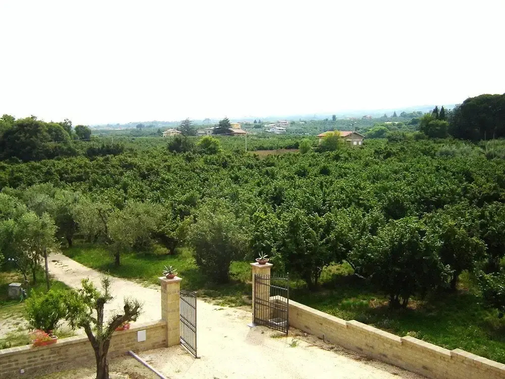 Agriturismo Casale Zuccari
