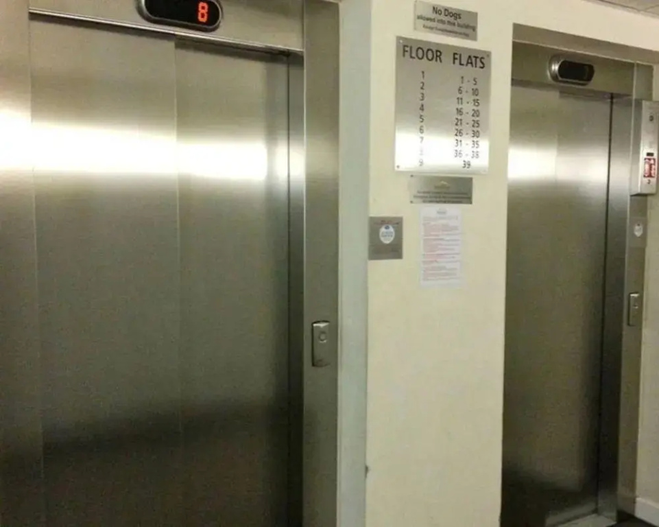 Hotel photo 8