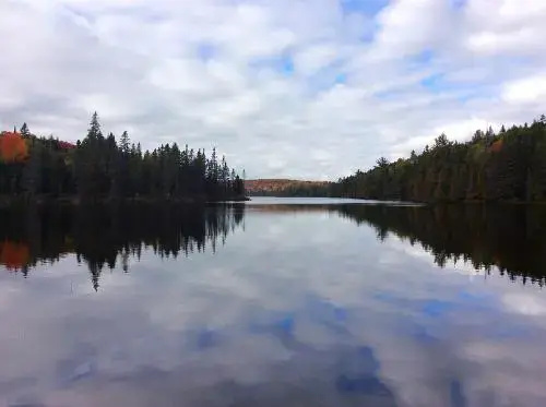 Madawaska Lodge-Camping Cabins