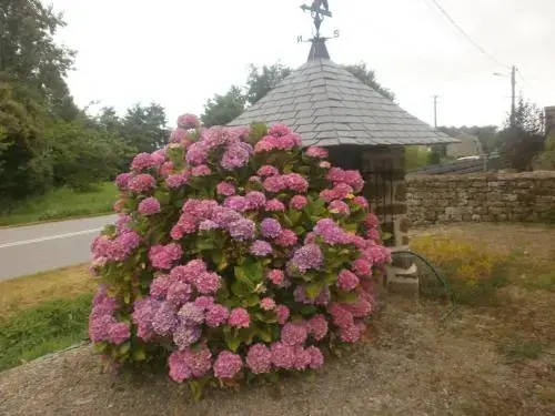 Voir la photo 4 — Chambre d'hôtes La Haie