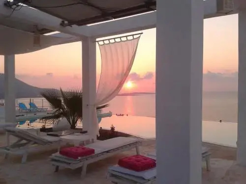 Balcony & Terrace