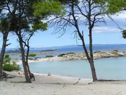 Beach & Waterfront