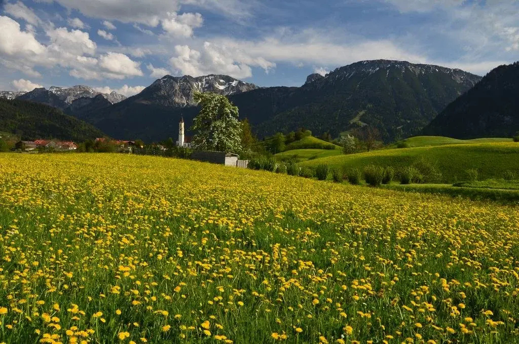 Alpenlodge Pfronten - Général