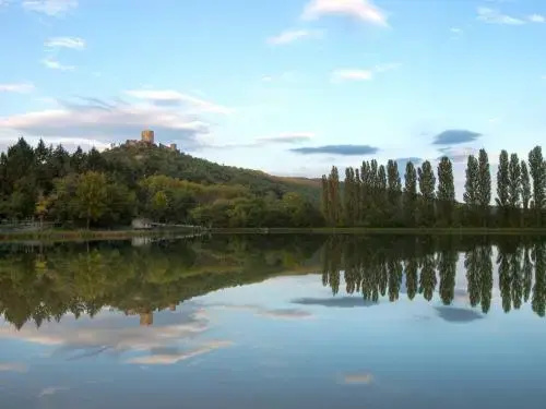 Afficher la photo 8 — Chambres d’Hôtes Horizons Verts
