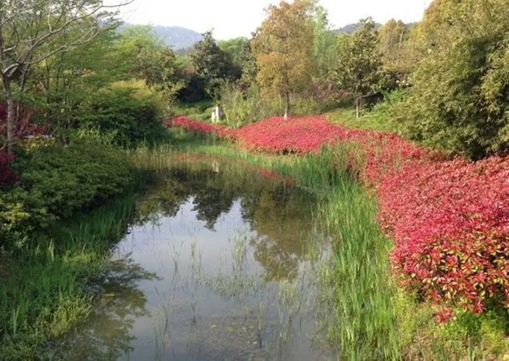 Huanxiu Resort And Spa - Général
