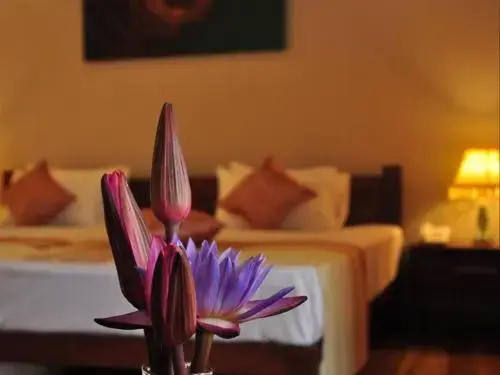 Hotel Sinharagama Resort and Spa - Général