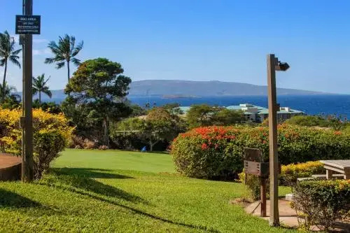 Wailea Ekolu #906 - Général