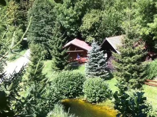 Image 12