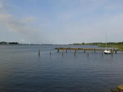 Image 15