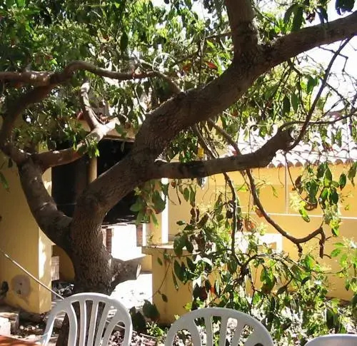 Casa Los Mangos