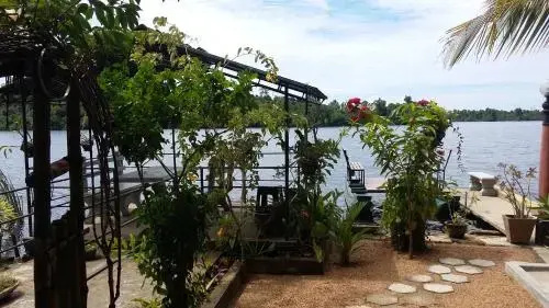 House of water Lily