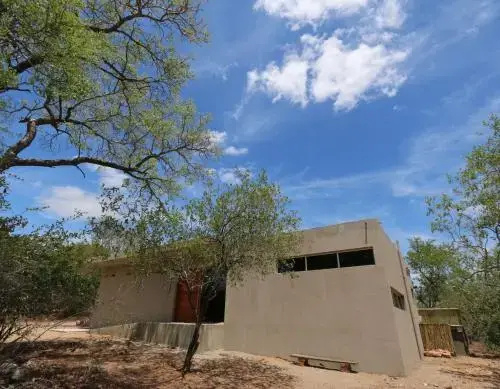 Birdsong Kruger