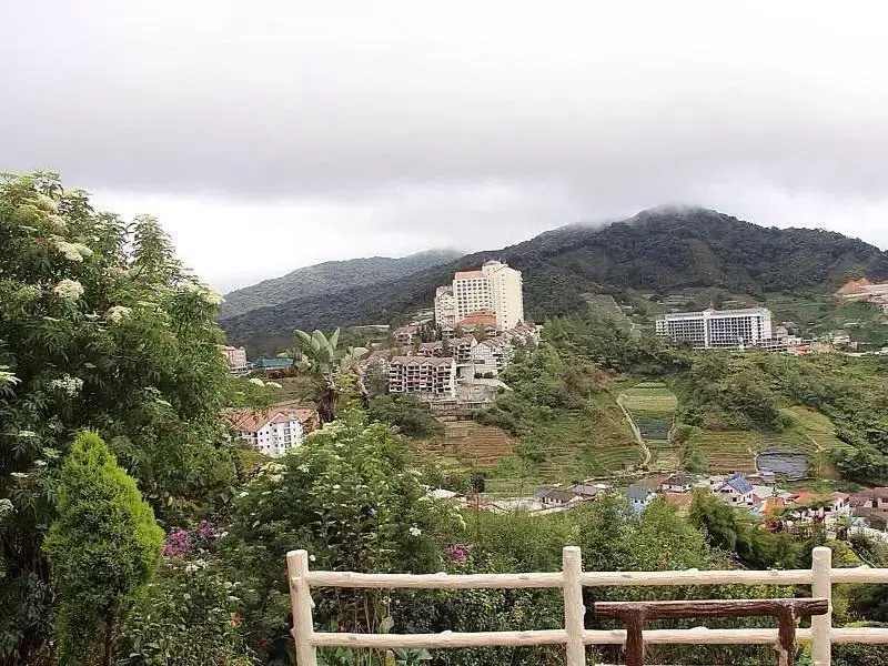 Holiday Accommodation Cameron Highlands - Général
