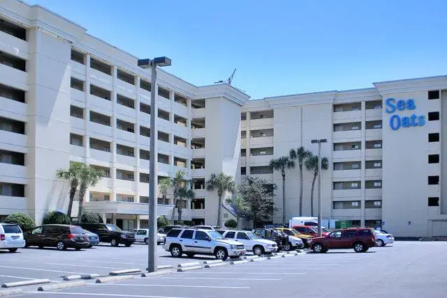 Sea Oats 708 252364 by RedAwning