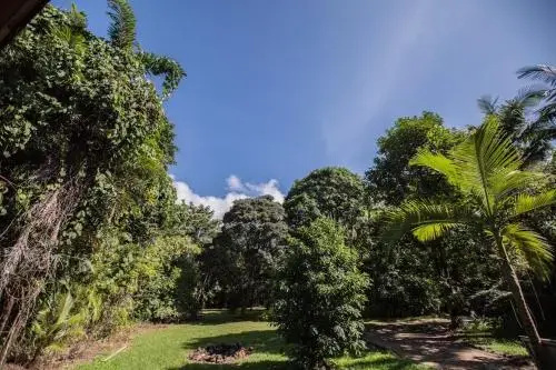 Cape Tribulation Holiday House