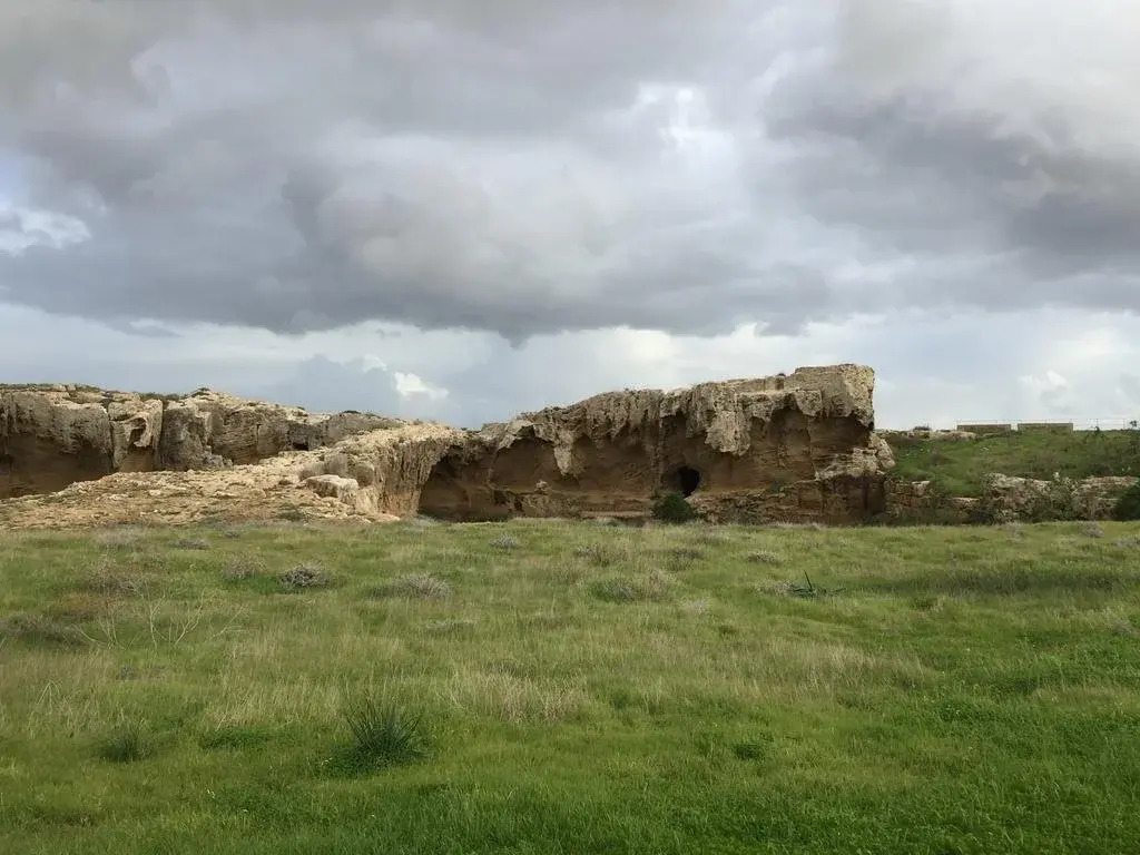 Image 11