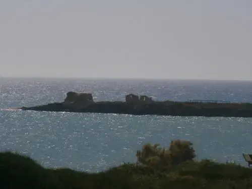 Alborea