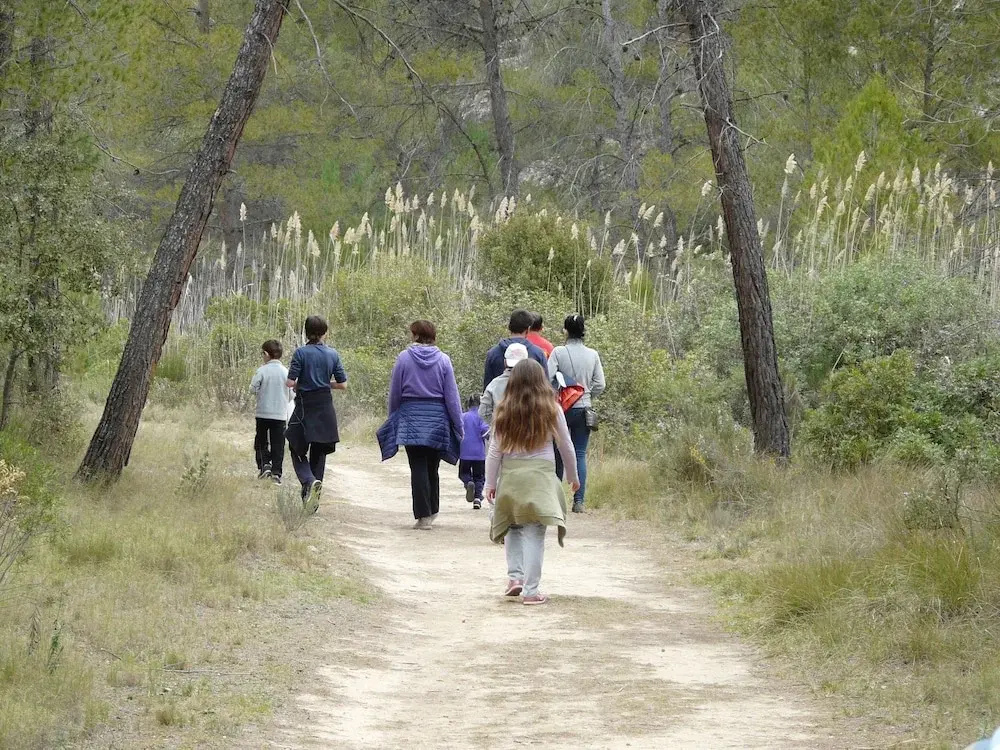 Agroturismo La Artezuela