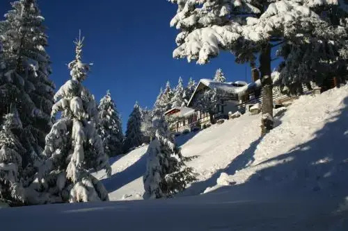 L'Alpe T1