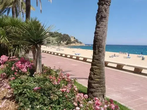 Manuela Beach City - Général