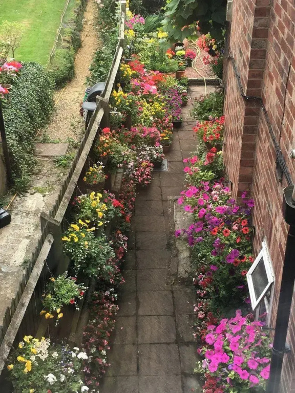 38 Whitehall Road