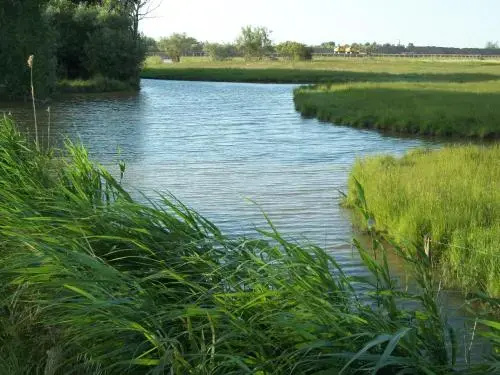 Domaine Le Jardin du Marais - Général