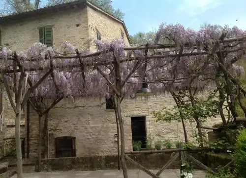 Mulino Della Ricavata - Général