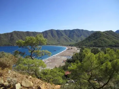 Beach & Waterfront