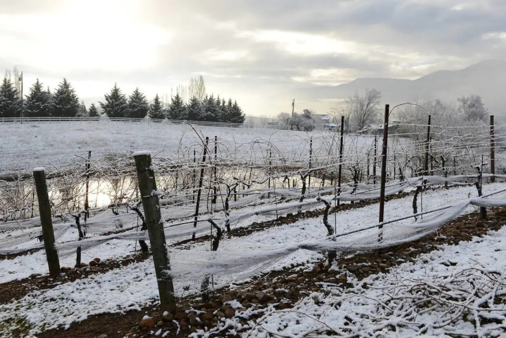 Dream Cottage at Paschal Winery