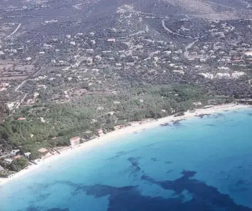 Pini e Mare