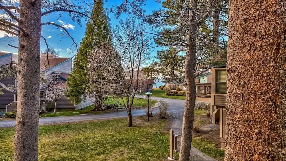 467 Pine Grove