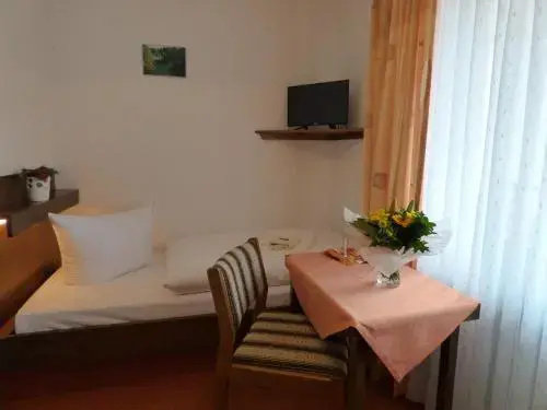 Pension Gasthof Zum Lamm - Général
