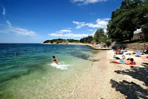 image url