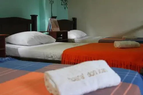 Spa & Wellness
