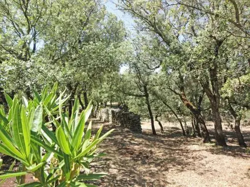 La Chênaie De Gordes - Général