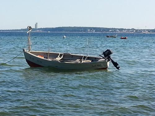 Image 13