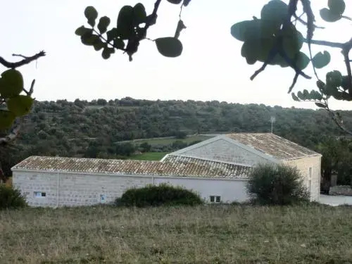 Antico Carrubo