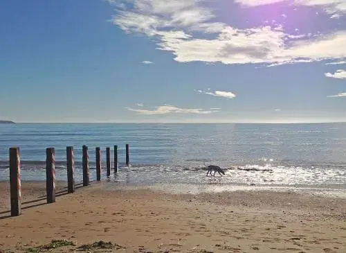Quality Hotel Youghal Holiday Homes - Général