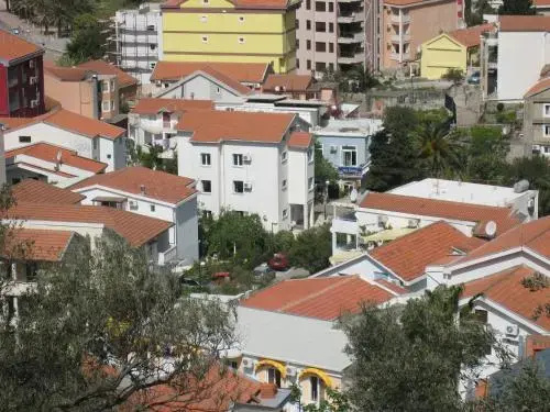 Guesthouse Morris Rafailovici - Général