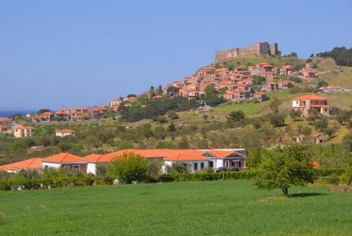Elea Houses Molivos