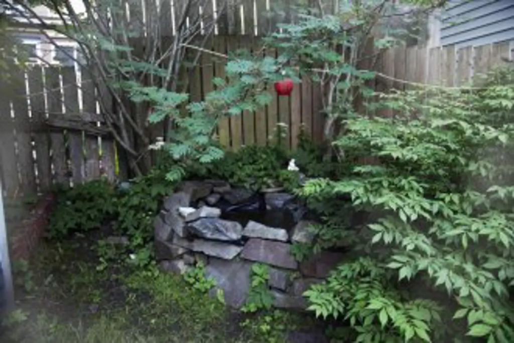 Image 9