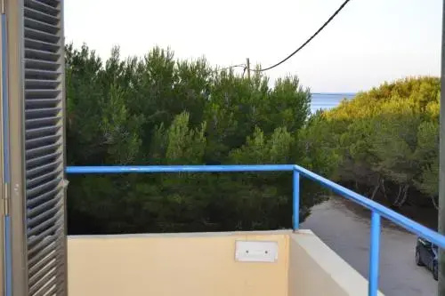 Balcony & Terrace