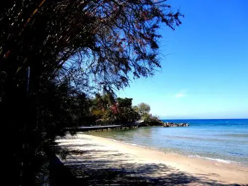 Beach & Waterfront