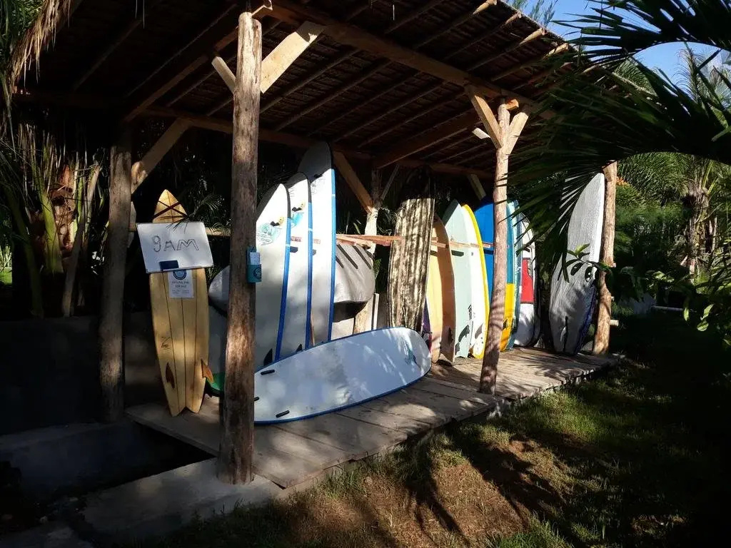 Palm Green Homestay