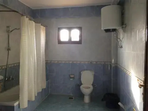 Image 10