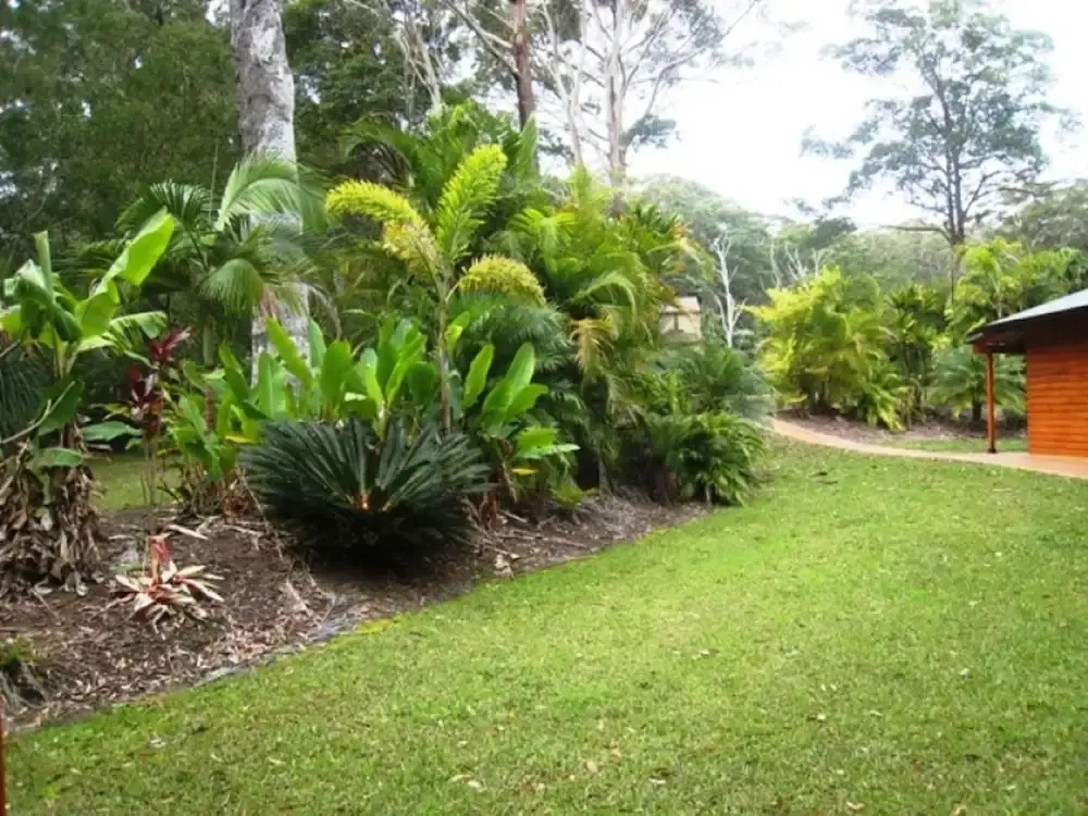 SWR Rainforest Retreat 1