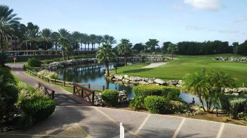 Отель Executive Real Estate at Divi Golf, фото 7