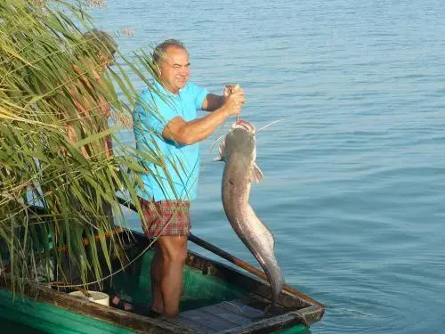 Tihany-Sajkod Holiday Home - фото 6